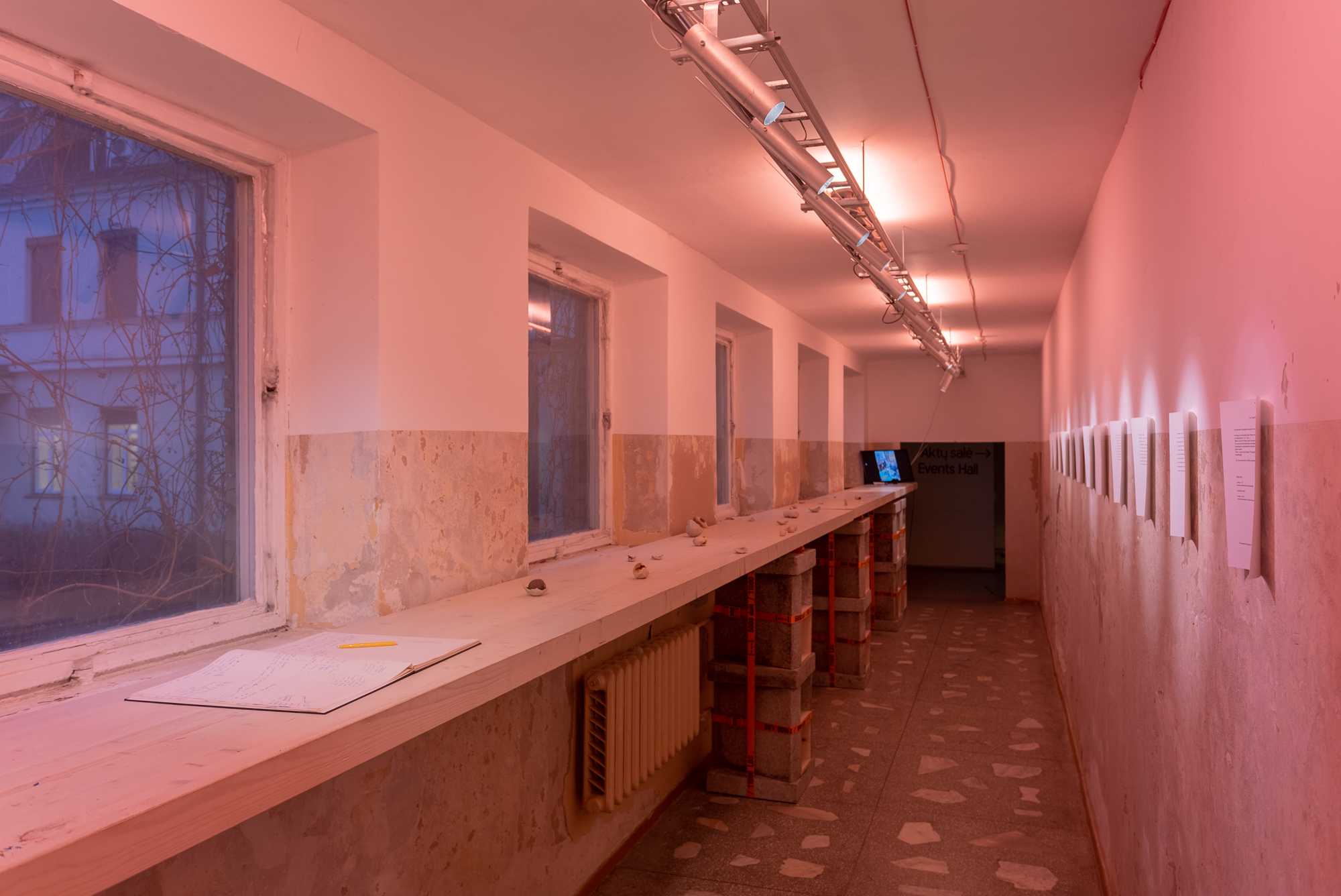 Erik Vojevodin, „Circus kitchen“, instaliacija, 2022. Lauryno Skeisgielos nuotr.