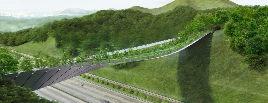 Žaliojo tilto projektas Seule